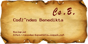 Csöndes Benedikta névjegykártya